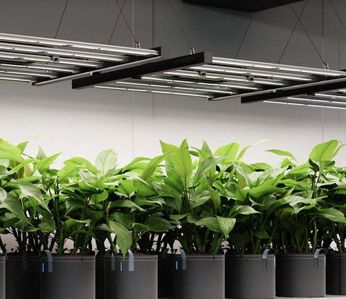 植物生长灯